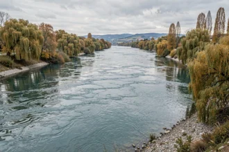 Vue panoramique d'un grand fleuve français aux eaux calmes bordé d'arbres en automne, illustrant la puissance et la largeur d'un fleuve se jetant dans la mer