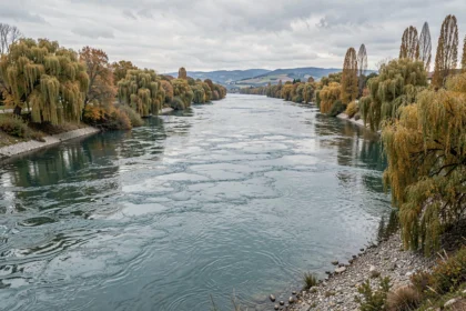 Vue panoramique d'un grand fleuve français aux eaux calmes bordé d'arbres en automne, illustrant la puissance et la largeur d'un fleuve se jetant dans la mer